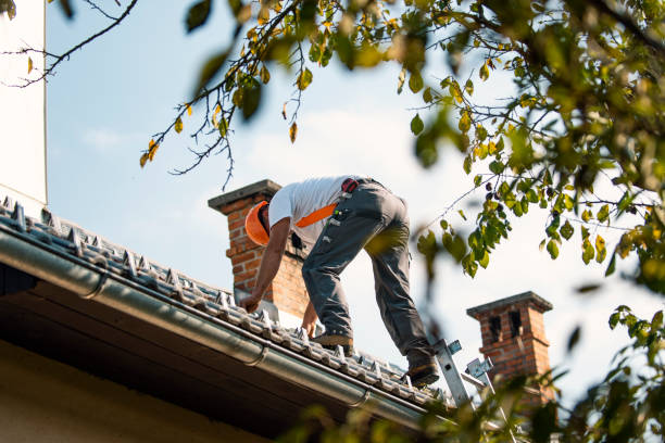 Best Storm Damage Roof Repair  in Columbia Falls, MT