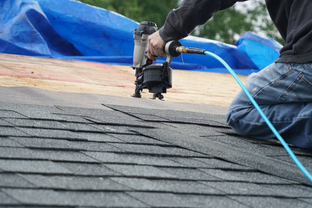 Best Gutter Installation and Repair  in Columbia Falls, MT