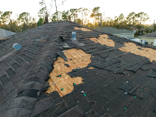 Best Steel Roofing  in Columbia Falls, MT